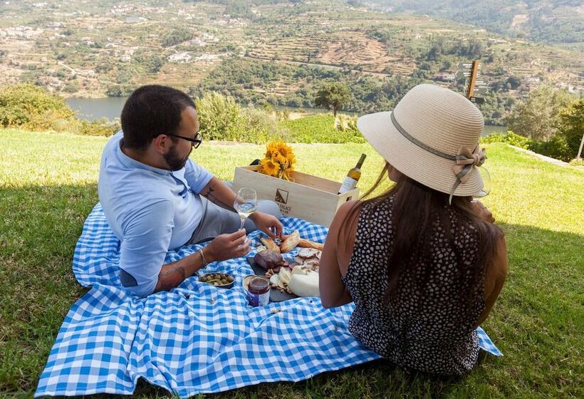 乡村酒店 Douro Palace Hotel Resort & Spa