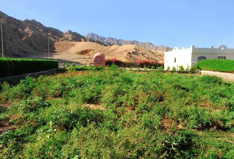 هتل Tropitel Dahab Oasis