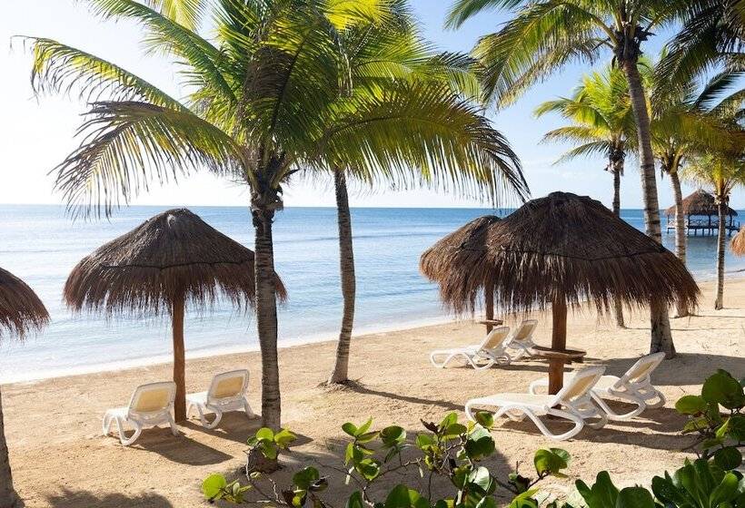 استراحتگاه Hyatt Ziva Riviera Cancun Allinclusive