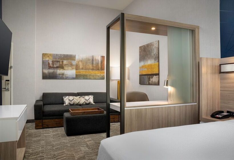 فندق Springhill Suites By Marriott Birmingham Gardendale