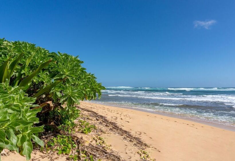 בית מלון כפרי Hanalei Colony Resort F3 2 Bedroom Condo