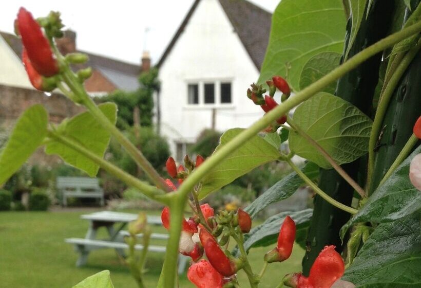 بنسيون St Ethelwolds House