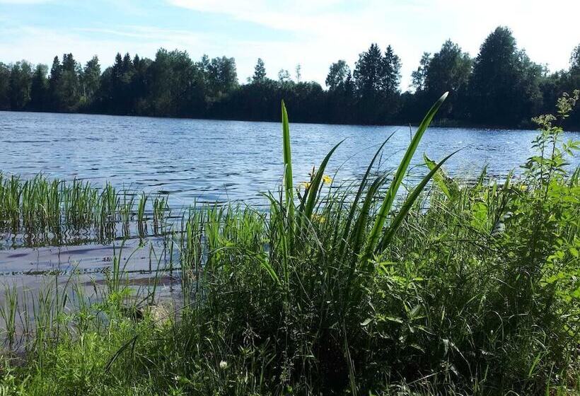 Tiny Hut In The Forest Overlooking The River