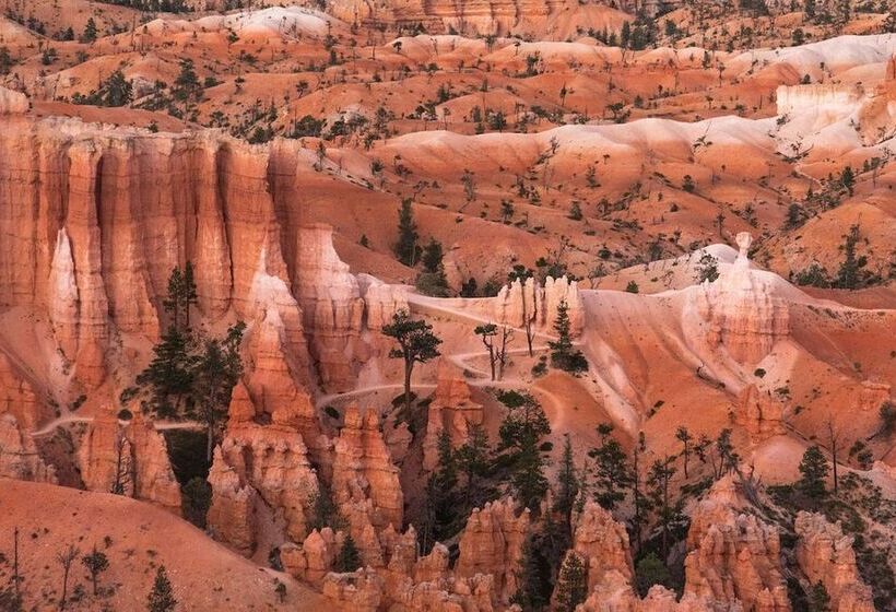 Ofland Escalante