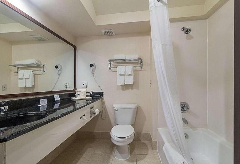 هتل Quality Inn & Suites West Chase