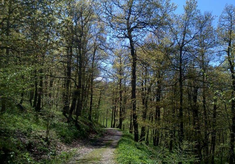 فندق ريفى Rural Peña Castil