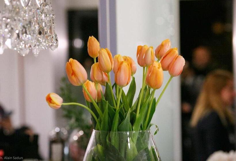 The One Hotel   Designed For Adults   Pet Lovers