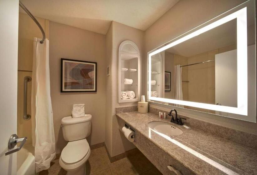 هتل Wingate By Wyndham Houston Bush Intercontinental Airport