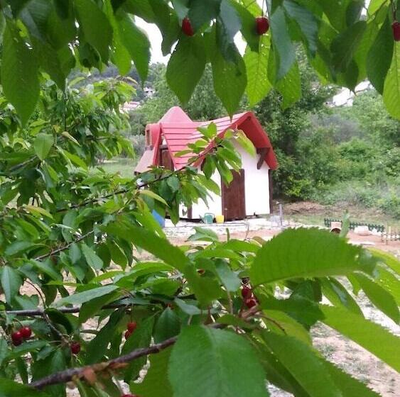 Immaculate 2 Bed Cottage Near Krka Waterfalls