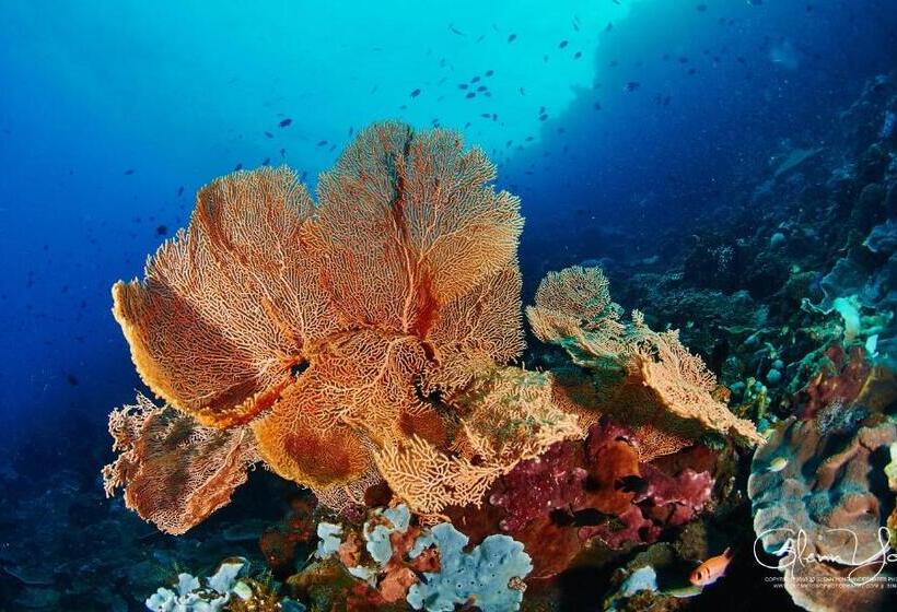 هتل Cocotinos Manado