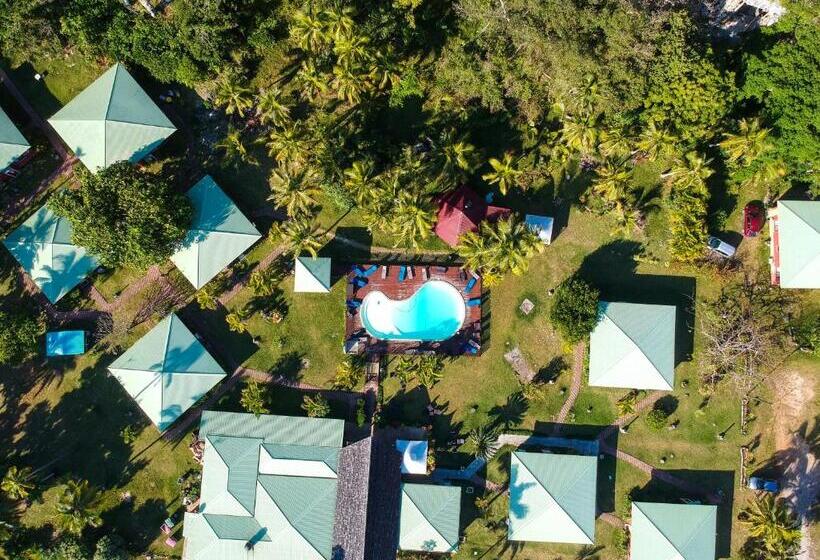 هتل Oasis De Kiamu