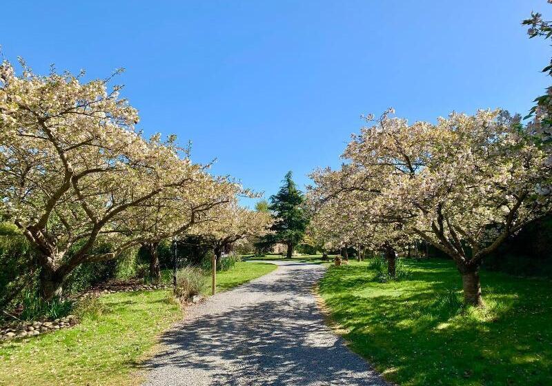فندق Newlands Bed And Breakfast