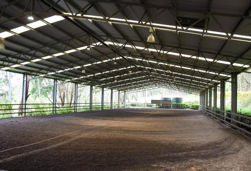 Отель Avoca Park Equestrian Farmstay