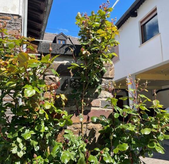 ペンション Altes Weingut Bröhl