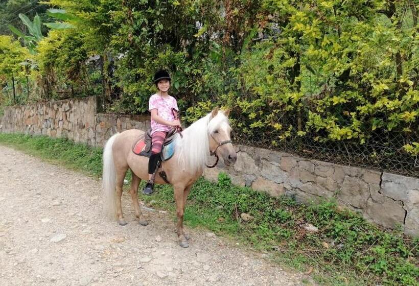 호텔 Rancho Ecoturistico El Faro
