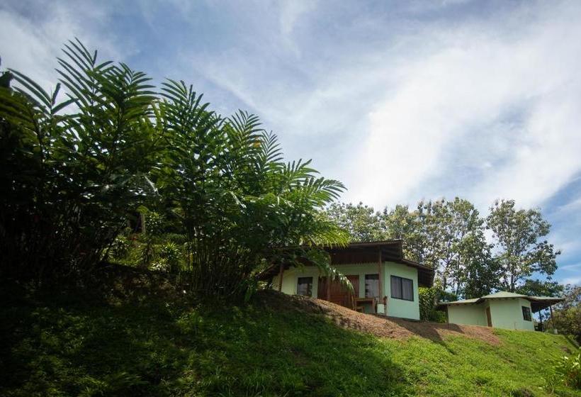 فندق Ballena Paraíso Lodge