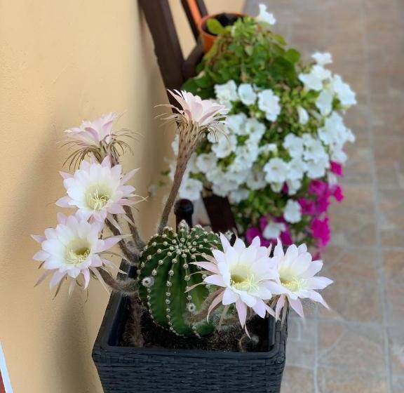 مبيت وإفطار Bb Borgo Biella