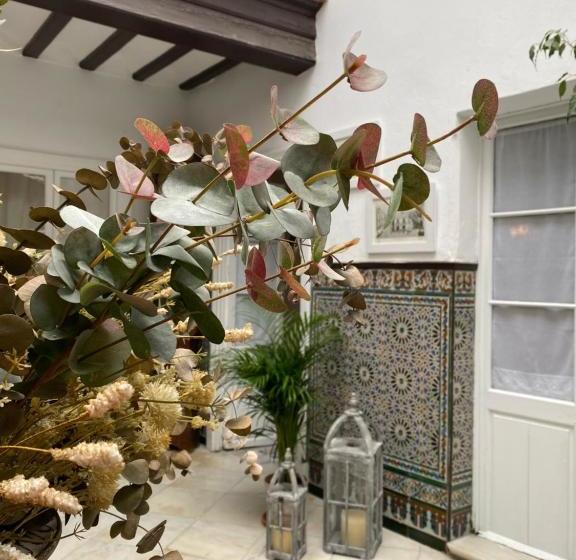 Bed and Breakfast Casa Yannat