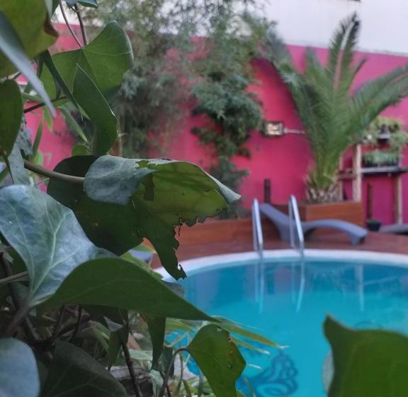 Bucanaan Hostel Boutique