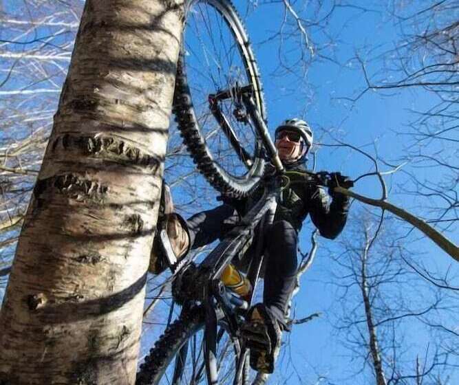 Haltia Lake Lodge Nature Boutique Hotel & Glamping