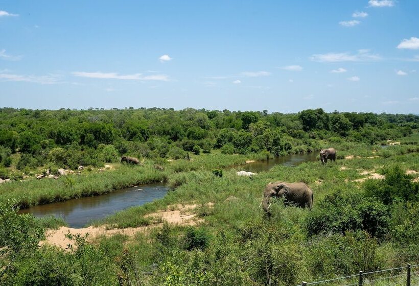 酒店 Leopard Sands, Kruger Park