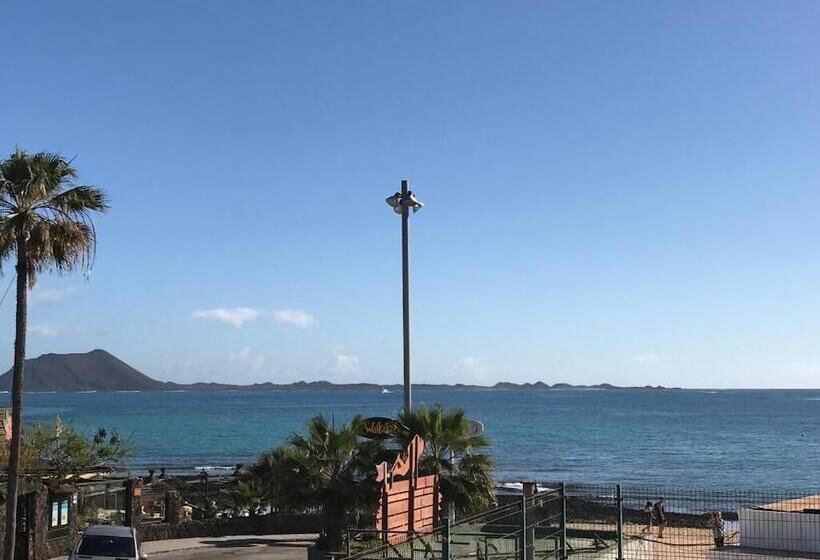Apartamentos Erika   Adults Only