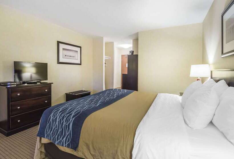 فندق Comfort Inn & Suites