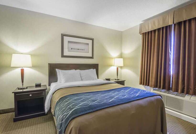 فندق Comfort Inn & Suites
