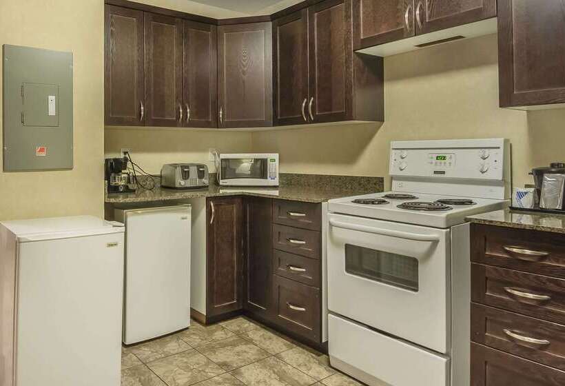 فندق Comfort Inn & Suites