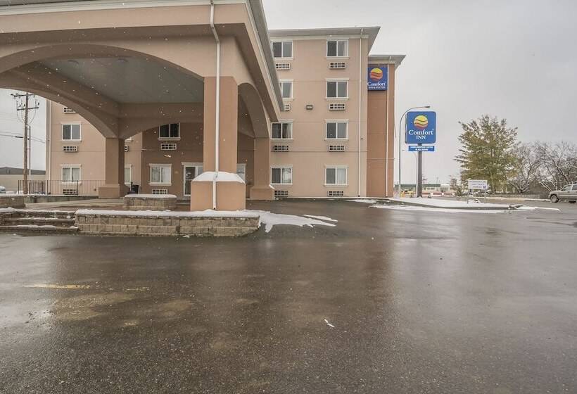 فندق Comfort Inn & Suites