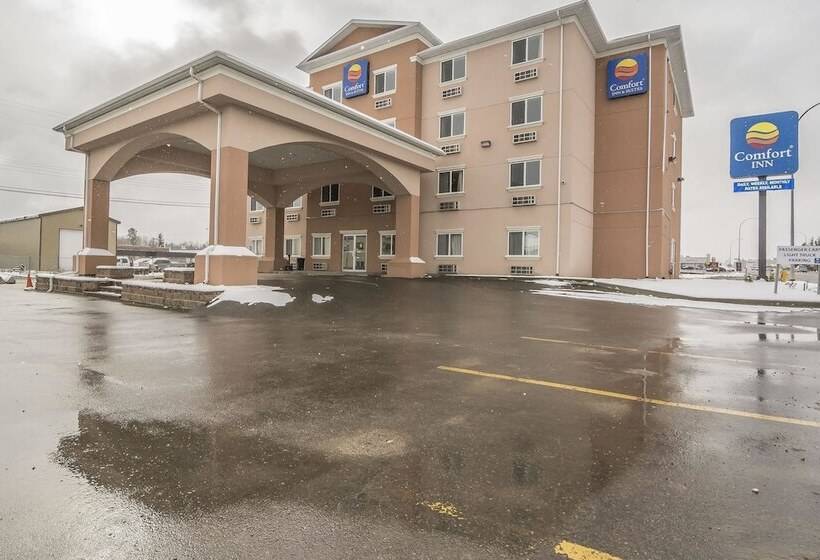 فندق Comfort Inn & Suites
