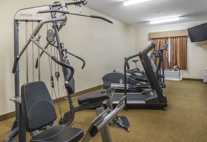فندق Comfort Inn & Suites