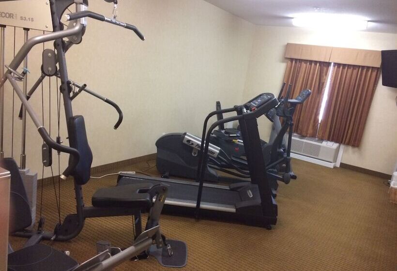 فندق Comfort Inn & Suites