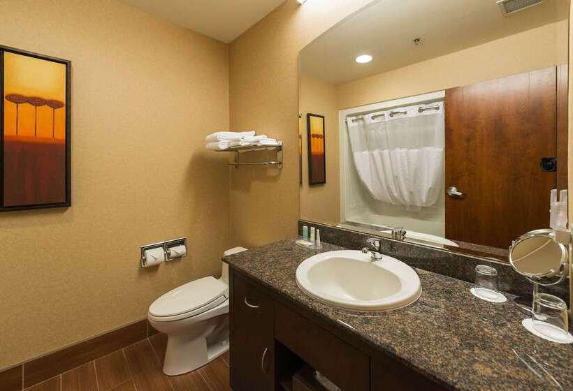 فندق Quality Inn & Suites