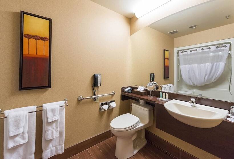 فندق Quality Inn & Suites