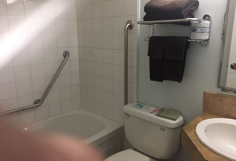 בית מלון כפרי Travel Inn & Suites Innisfail