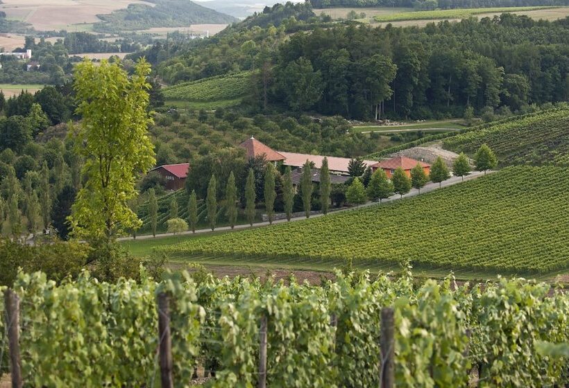 호텔 Benz Weingut & Wein