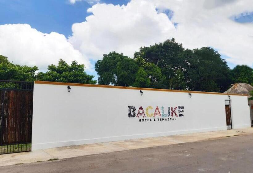 هتل & Temazcal Bacalike