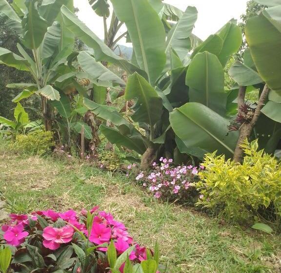 مبيت وإفطار Finca Umnisa   Choachi