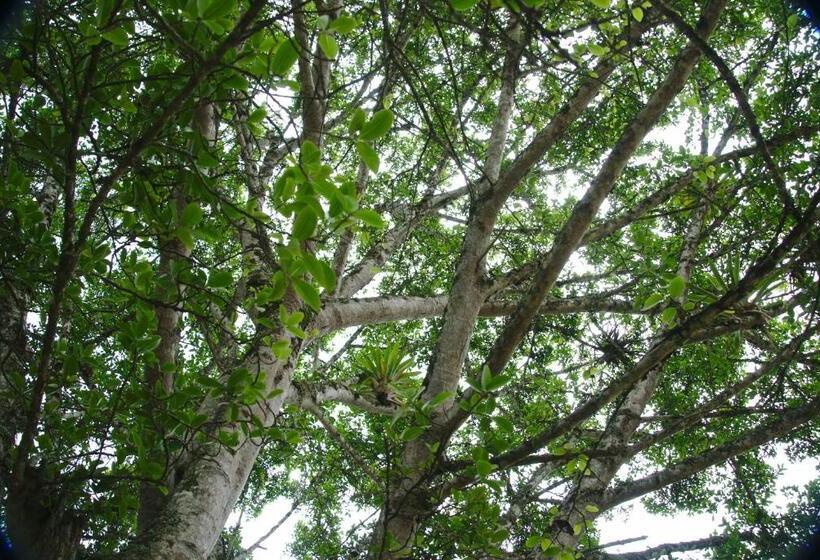 مبيت وإفطار Finca Umnisa   Choachi