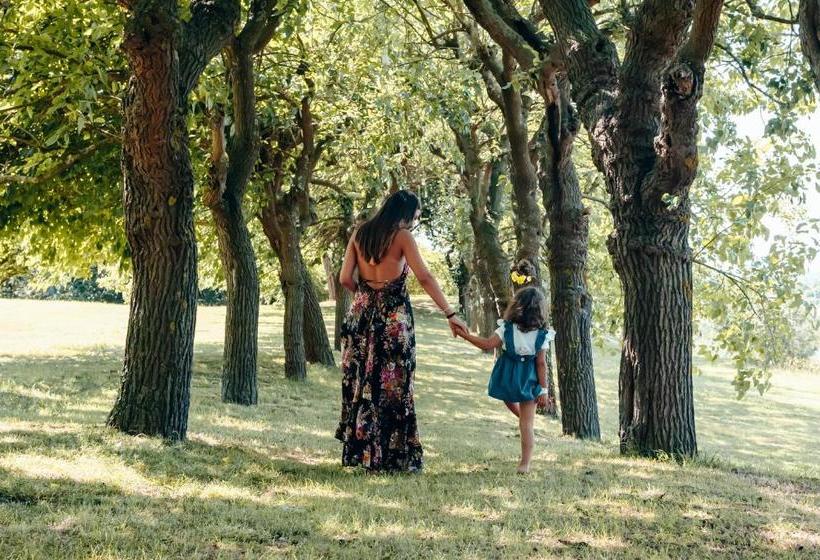 فندق Collina Dei Poeti