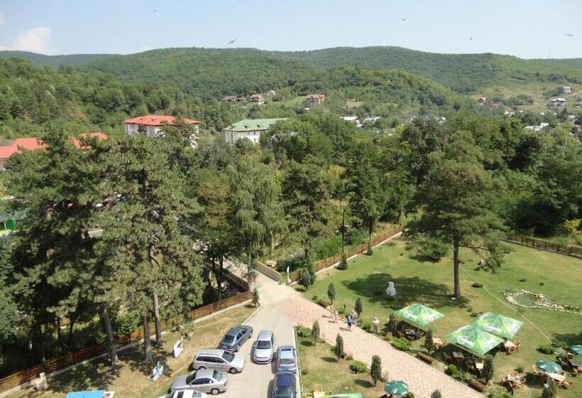 هتل Spa Cazino Monteoru