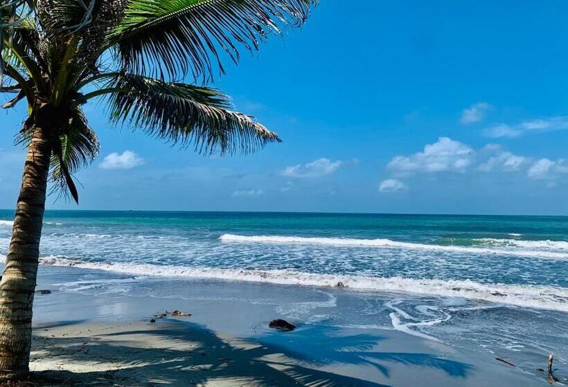 پانسیون Playa Jaguar   Beach Club