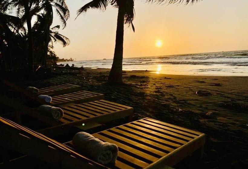 پانسیون Playa Jaguar   Beach Club