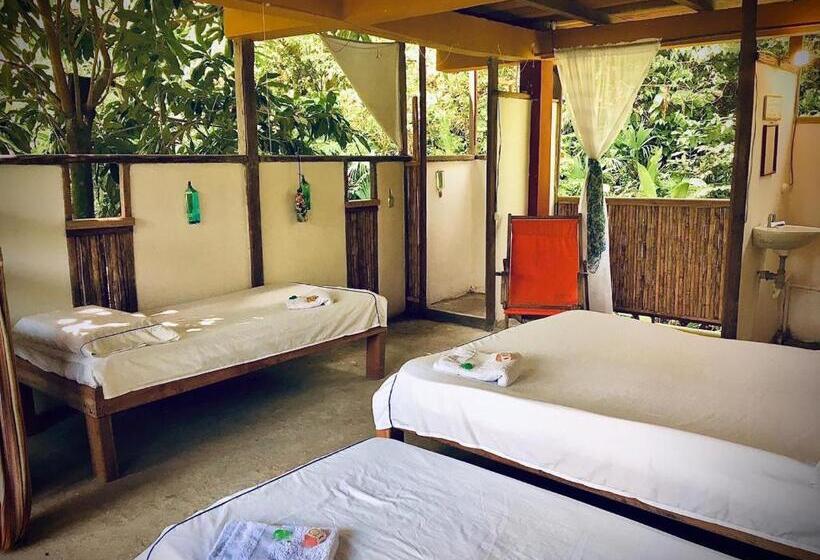 بنسيون Ecocabaña Rosa María