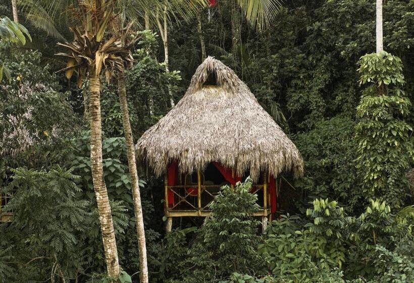 استراحتگاه Dominican Tree House Village