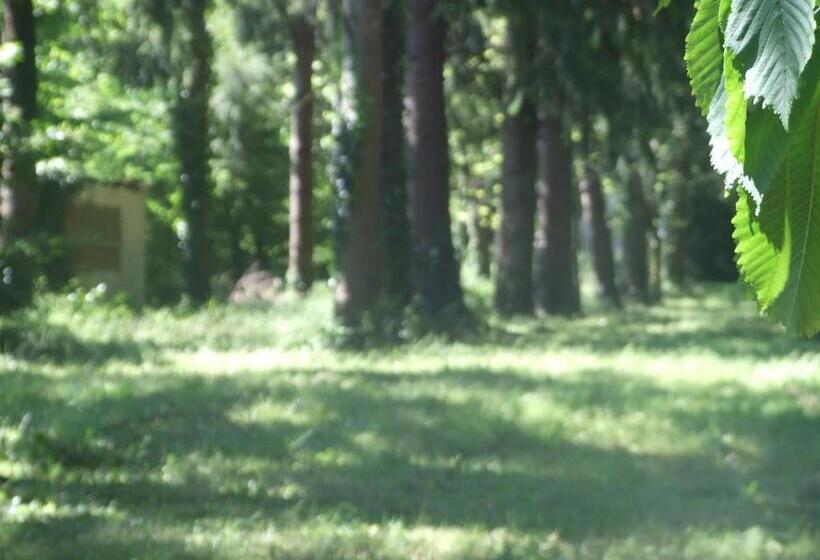 ベッドアンドブレックファースト L Auberge De La Forêt