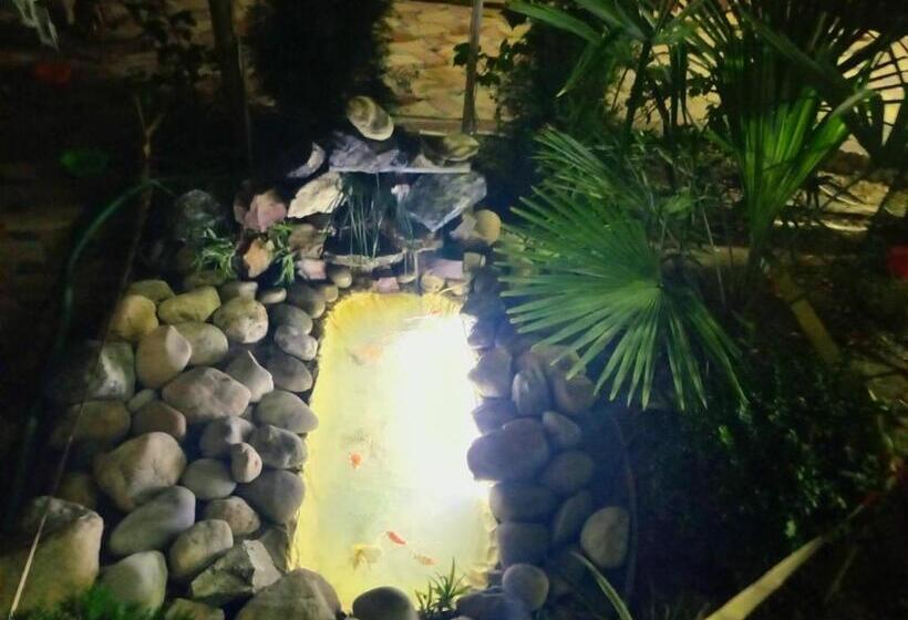 צימר Botanical