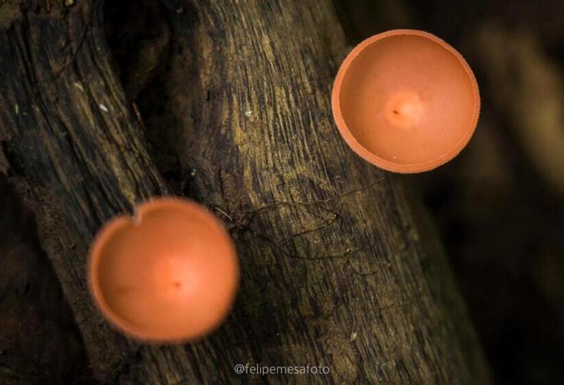 هتل Safio. Una Casa En El Paraiso