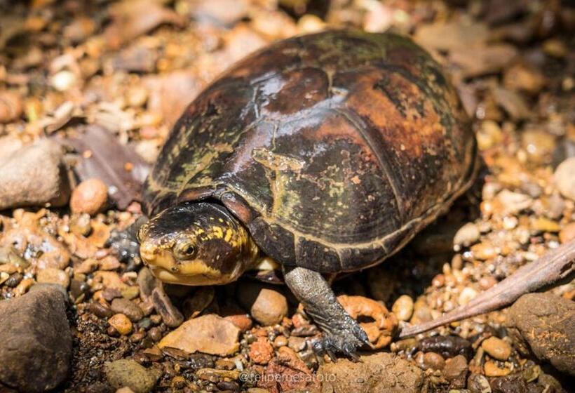 هتل Safio. Una Casa En El Paraiso